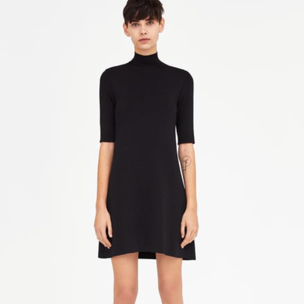 Zara Knit High Neck Dress